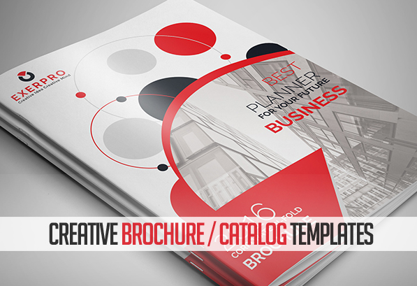 brochure-and-catlog-design-service-in-kasarwadi-pune